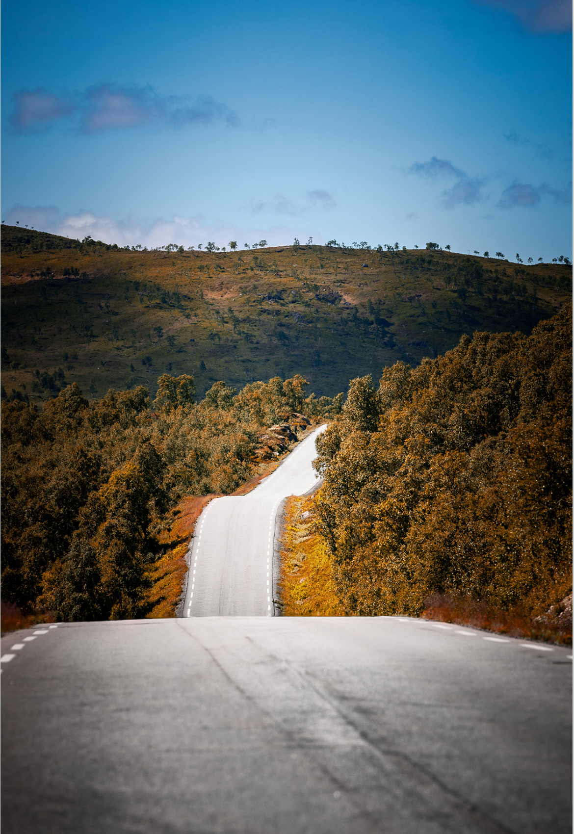 Velkommen til årets Høsttreff på Hovden i Setesdal